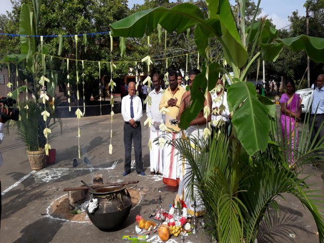 Thaipongal Festival_16.01.2019